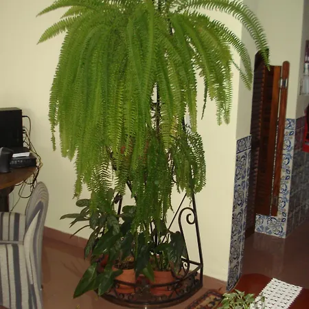 Residencial Santo Antonio