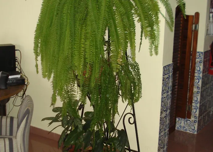 Residencial Santo Antonio